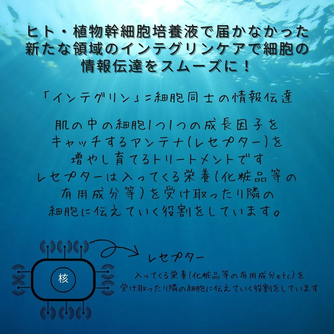 ⳹ 新メニューのお知らせ ⳼📢