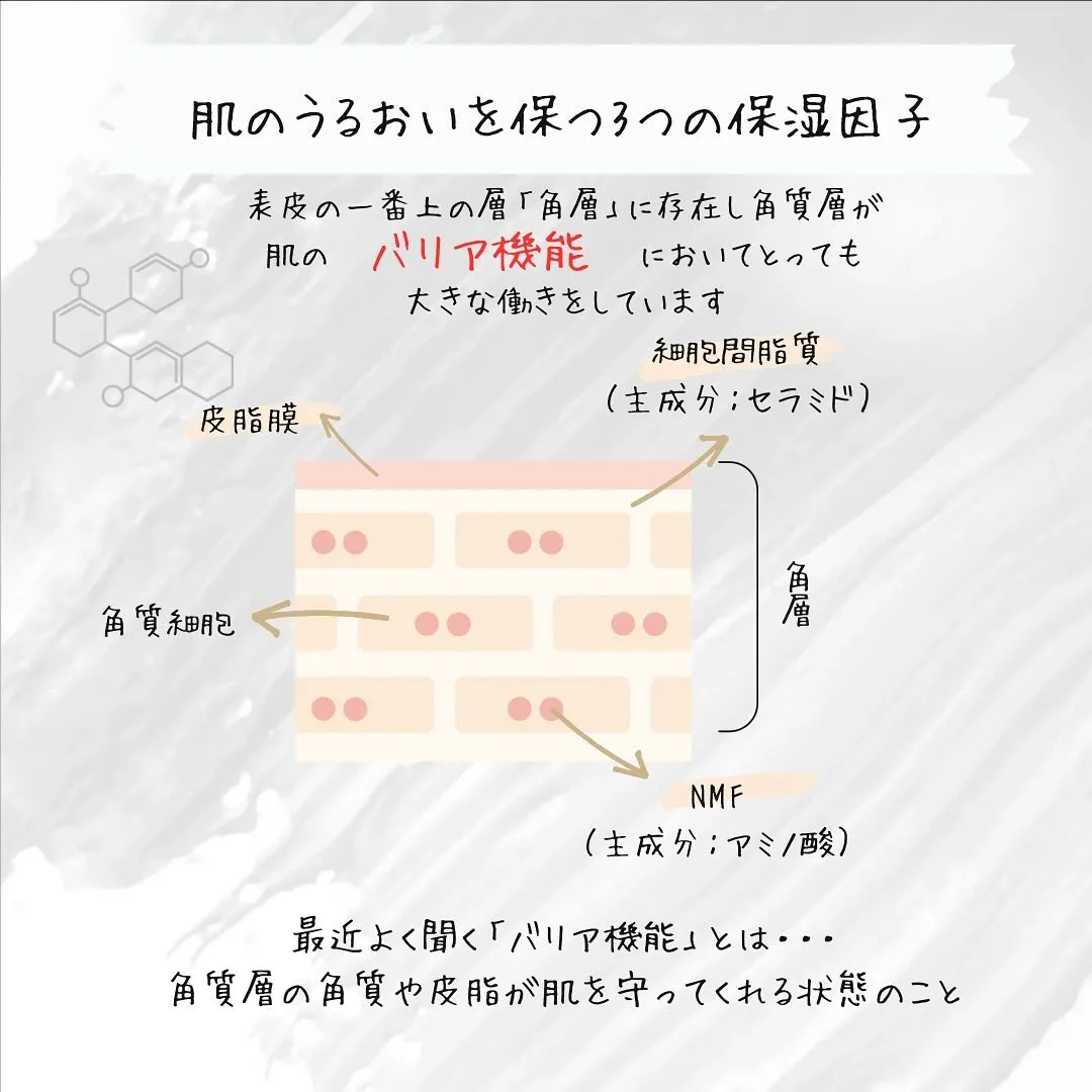 \\ バリア機能を保つ3つの保湿因子 //