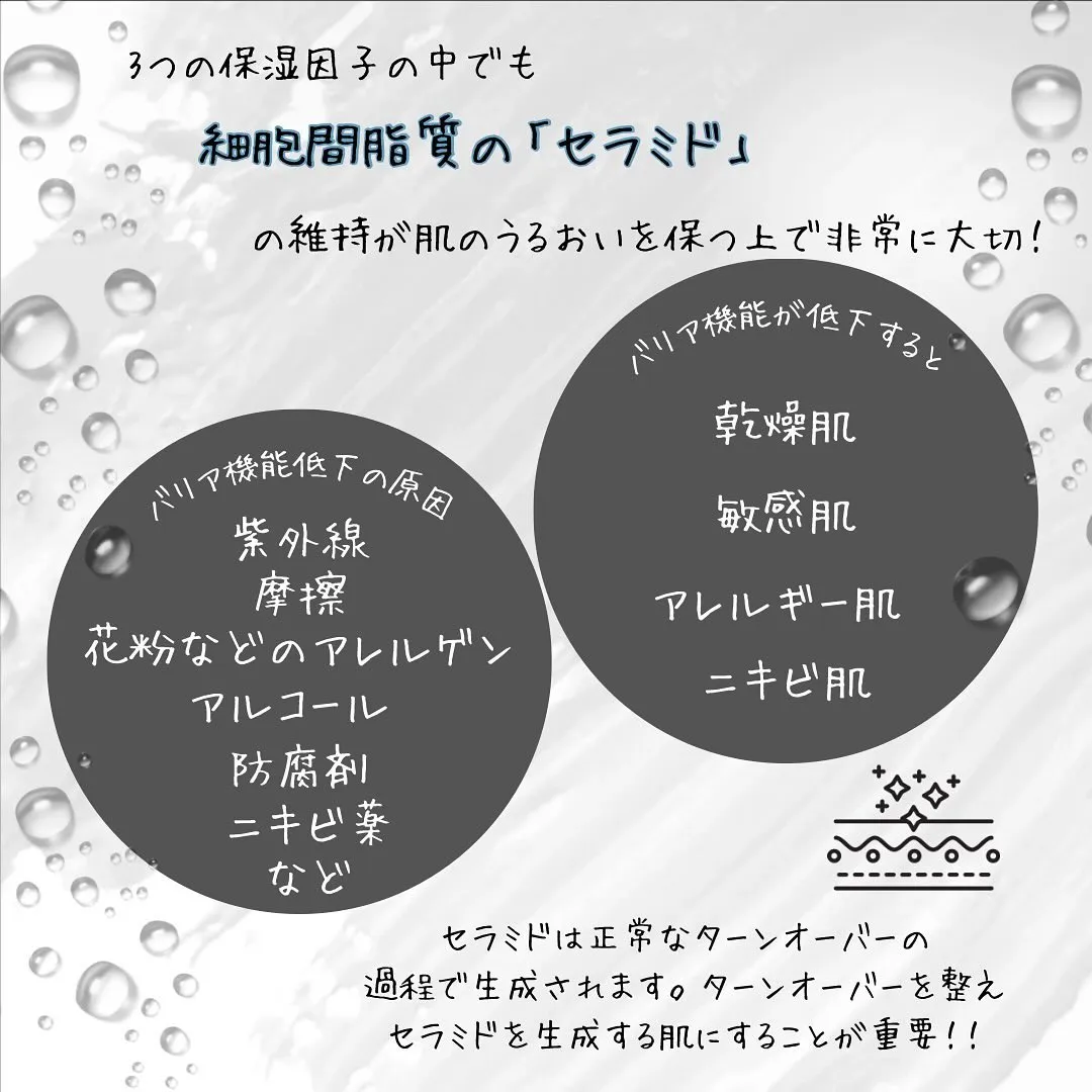 \\ バリア機能を保つ3つの保湿因子 //